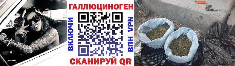 Галлюциногенные грибы Cubensis Дыгулыбгей